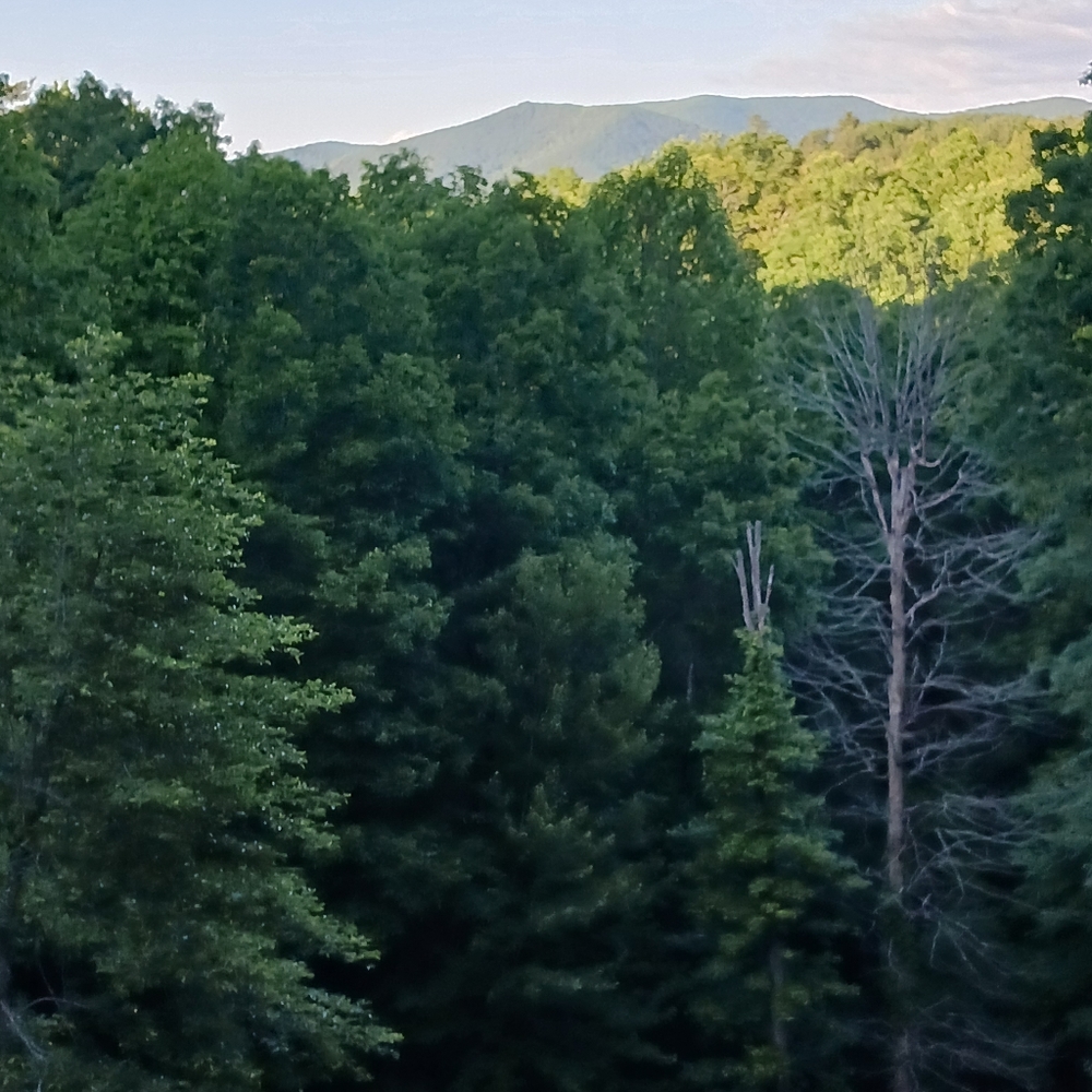 Blue Ridge Mountains